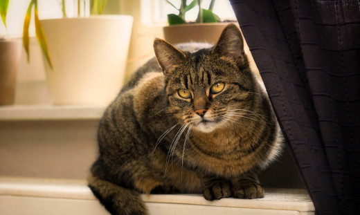 1757398 (a): :2880x1718